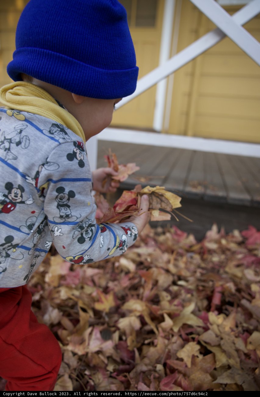 Autumn Adventure in Downtown Sonoma