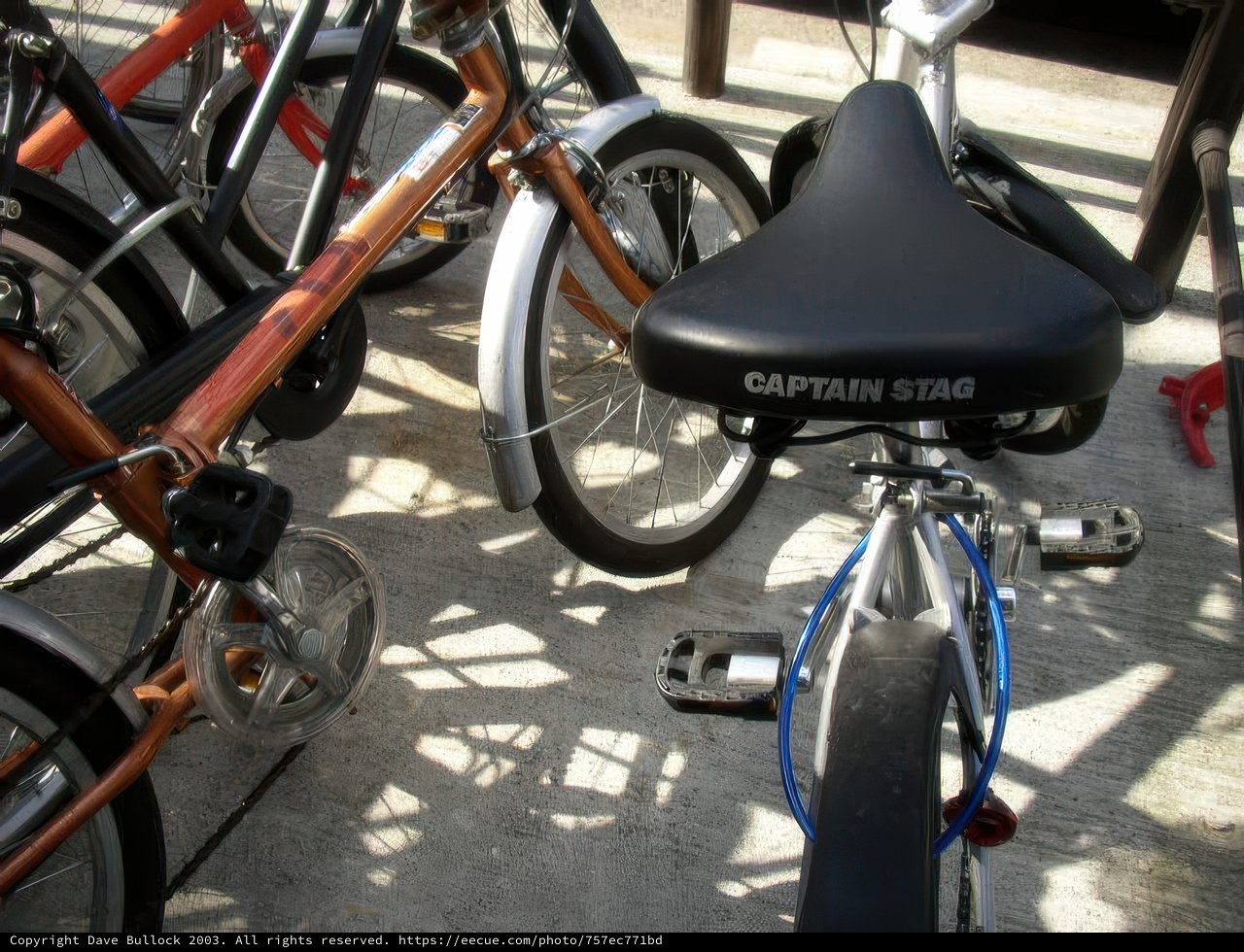 Captain Birdseye's Innovative Bike Share
