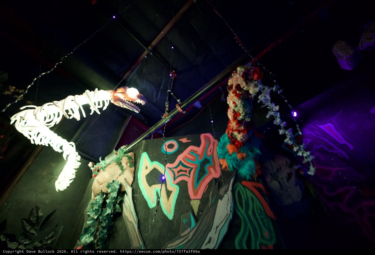 Illuminated Dinosaur Skeleton Display at Night Event