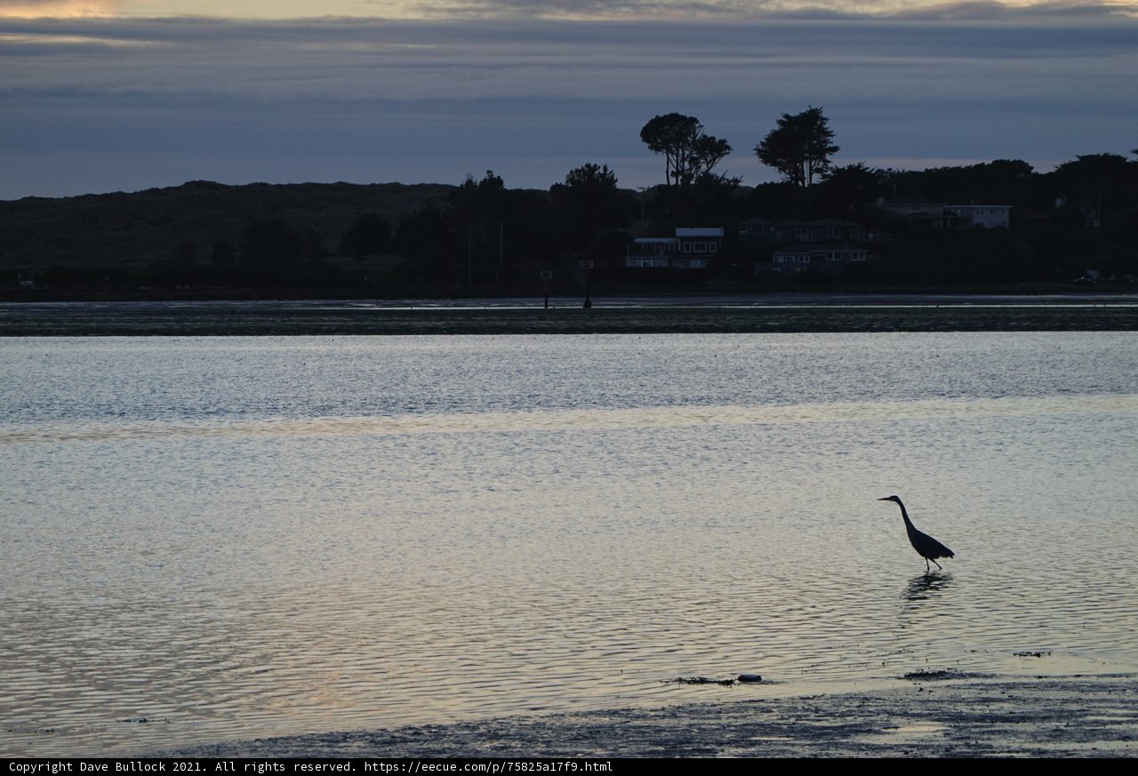 Dusk Reflections