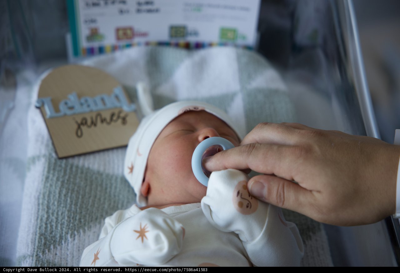 Welcome to the World, Leland