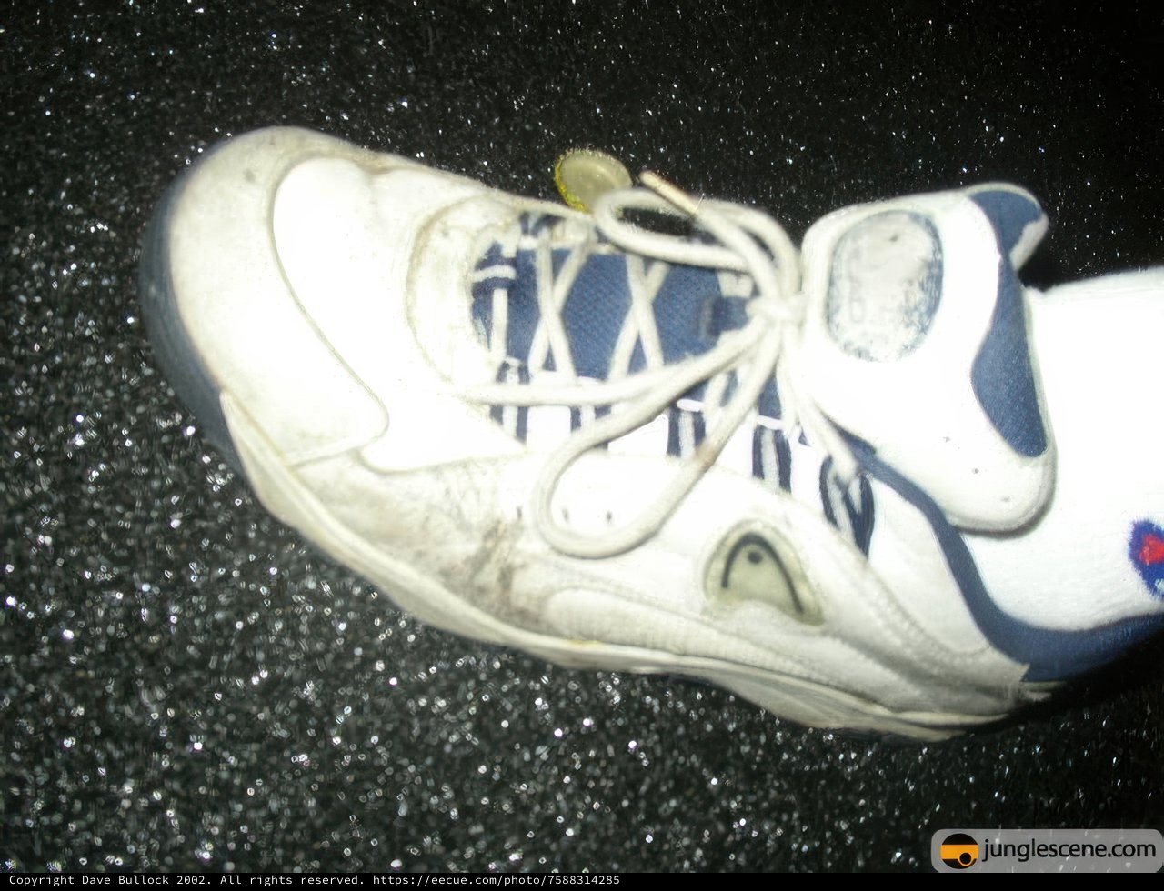 Crisp and Clean Kicks