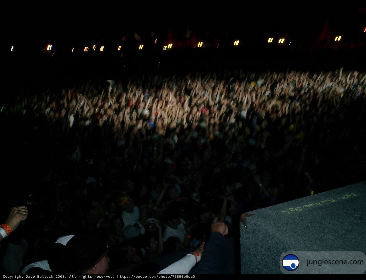 Rocking Out with the Crowd