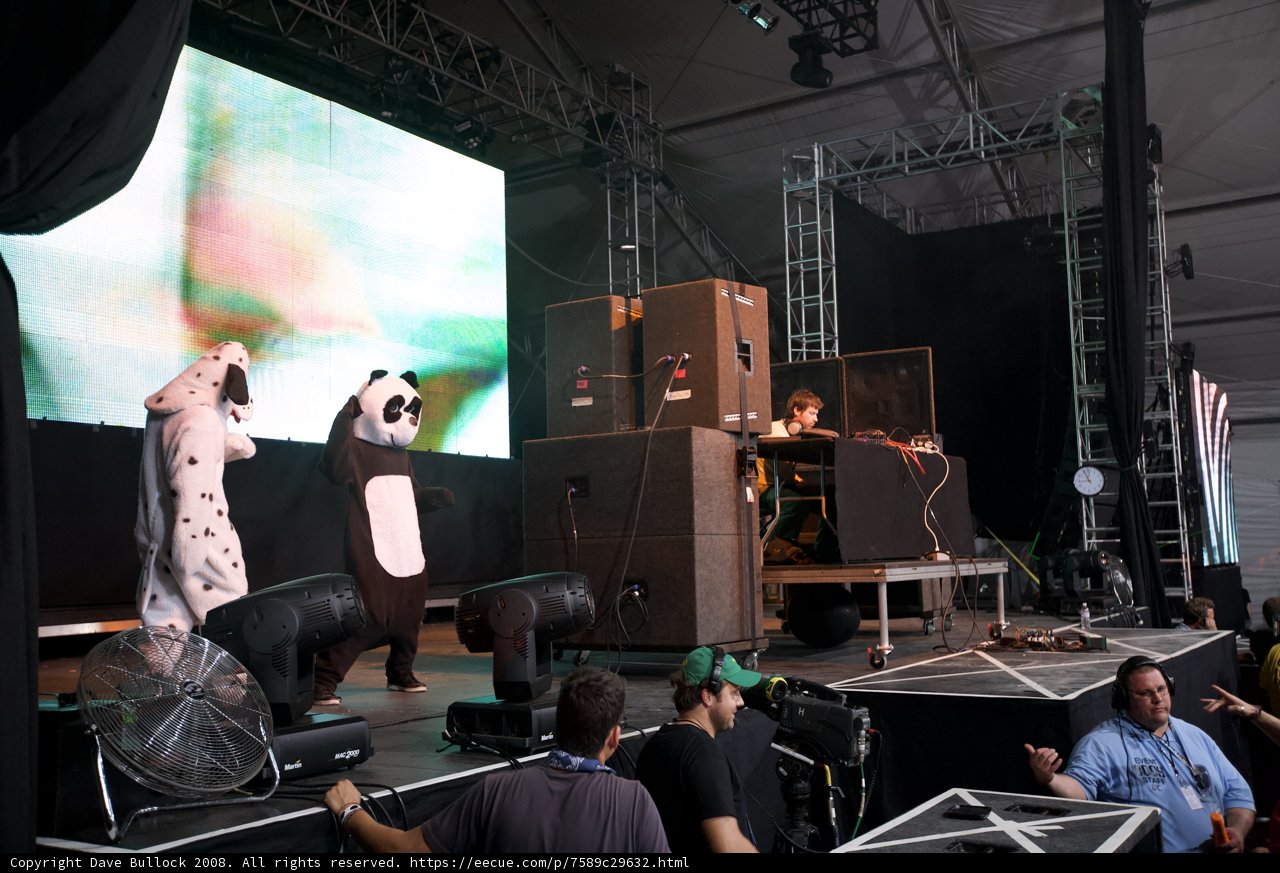 Panda on stage with a human