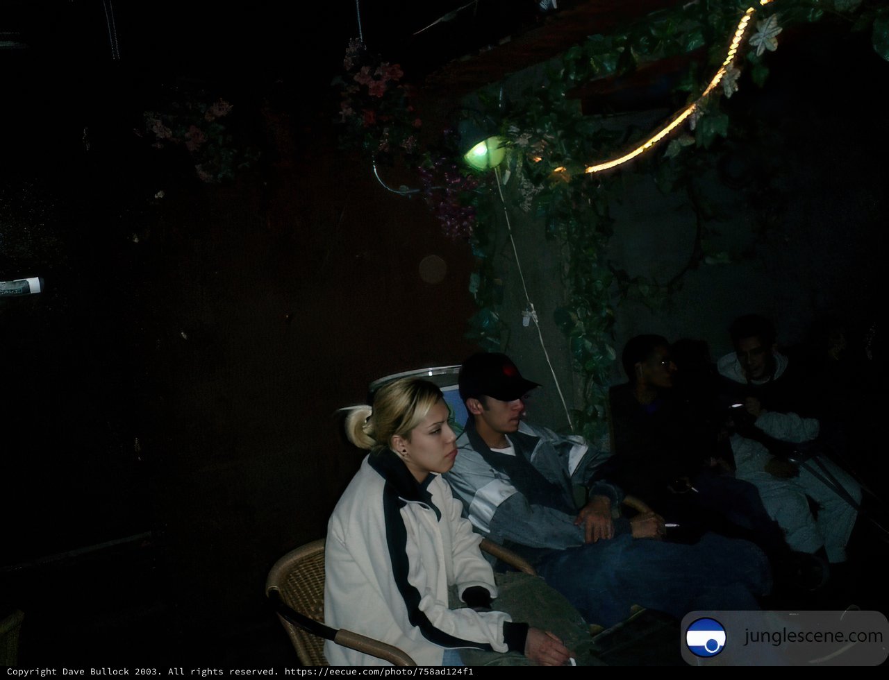Nightlife Gathering