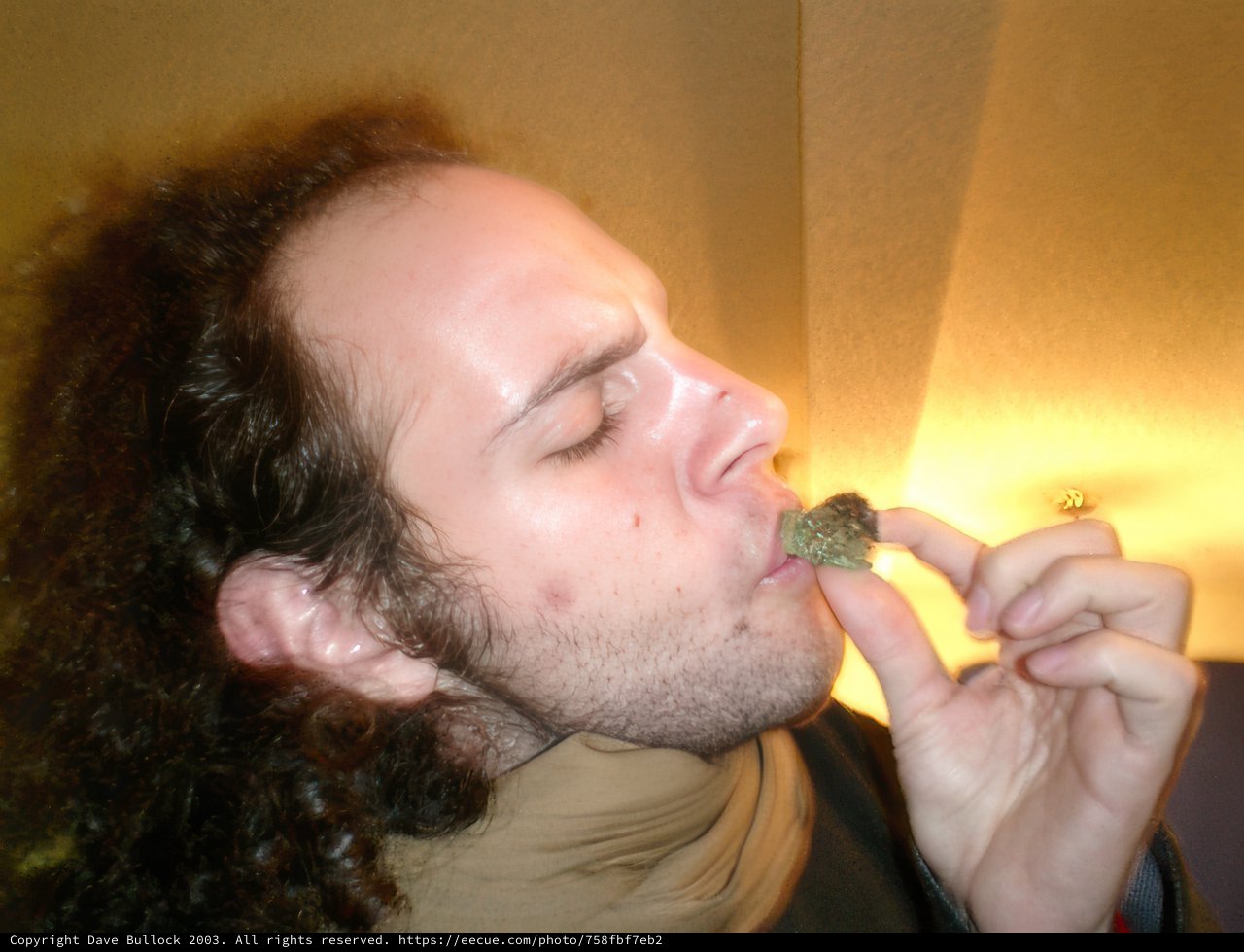 Chowing Down with Tal C