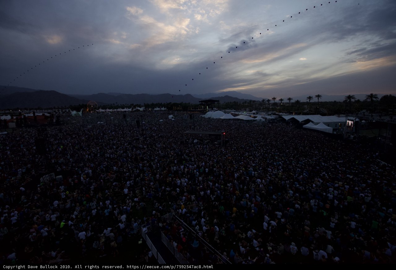 Kites Above and Crowd Below