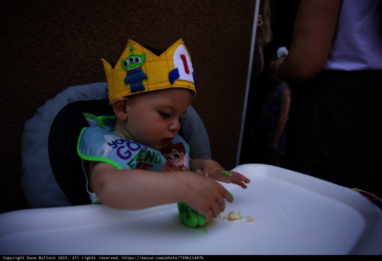 King for a Day: Wesley's First Birthday Bash