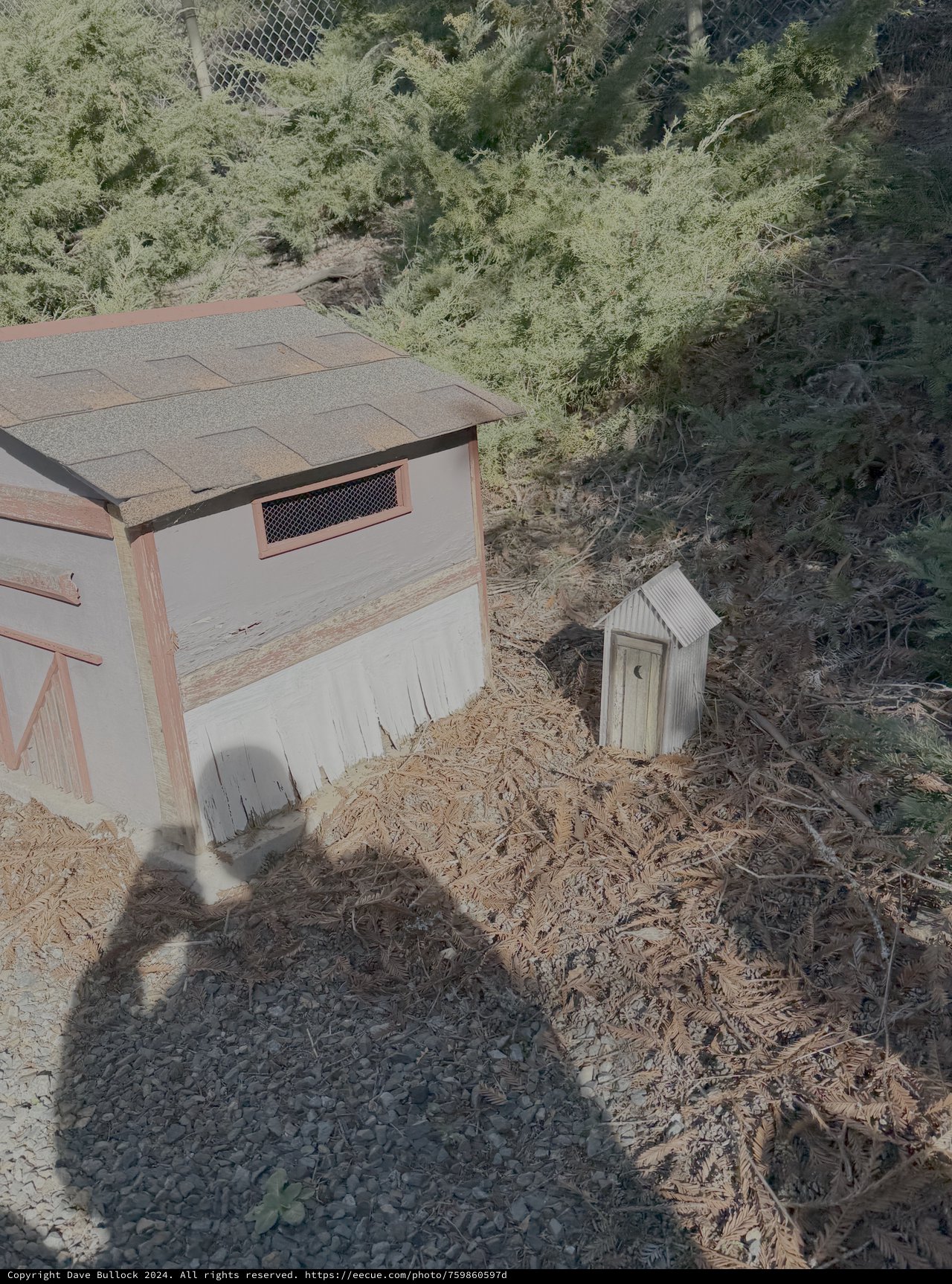 Backyard Chicken Coop with Composting Setup