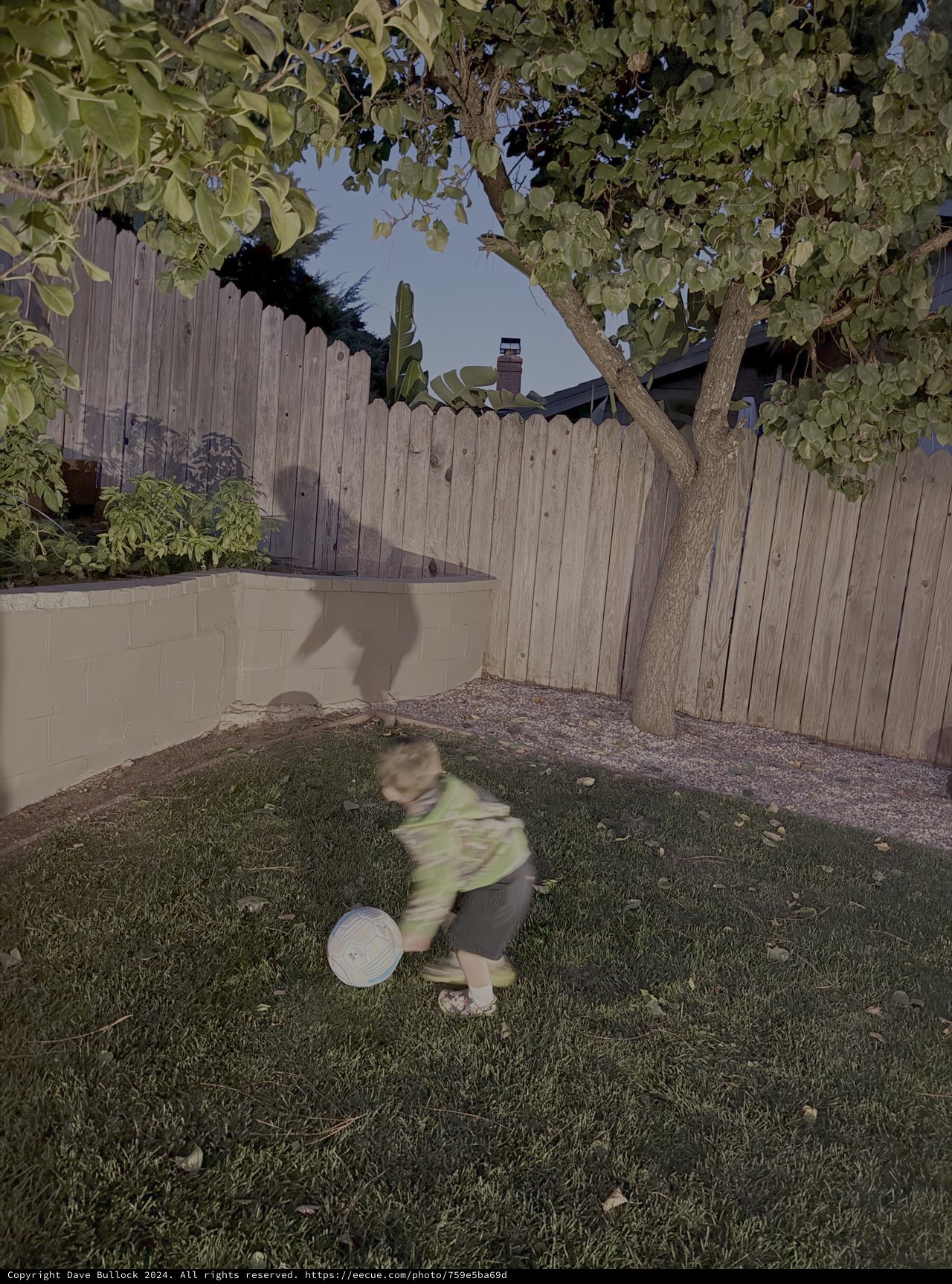 Child Playing with Ball in Backyard