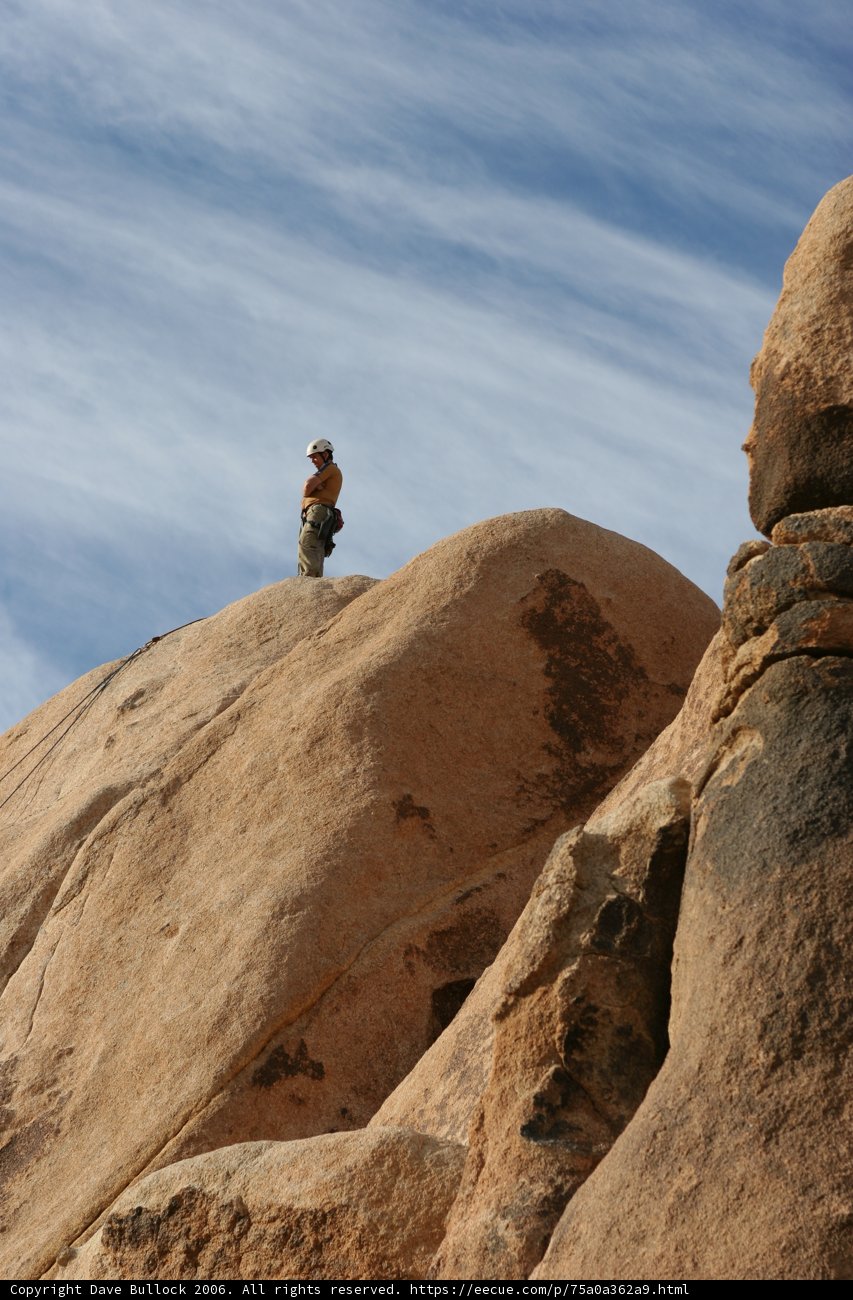 Standing Strong on the Desert Cliff