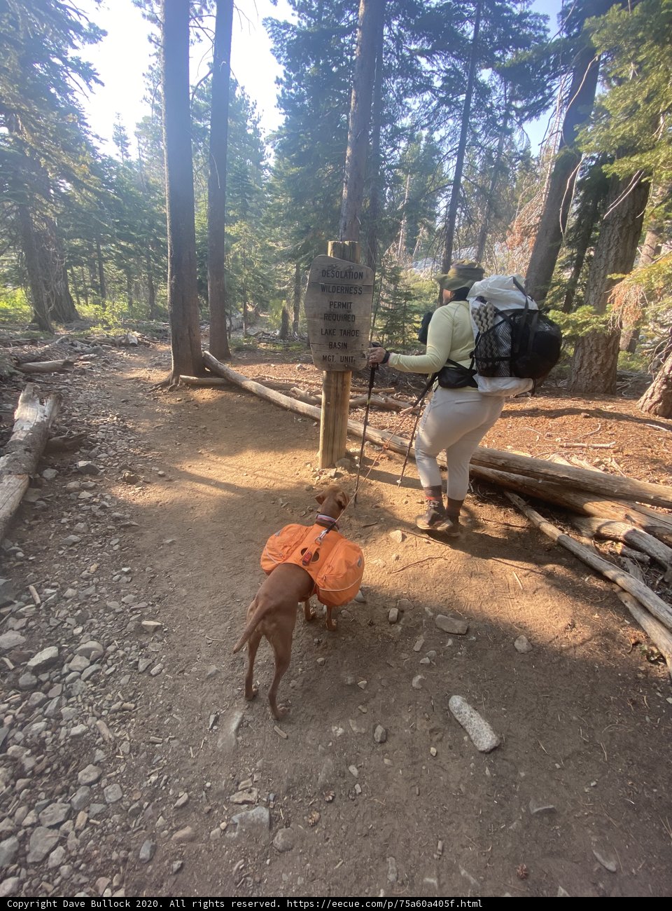 Hiking with My Four-Legged Friend