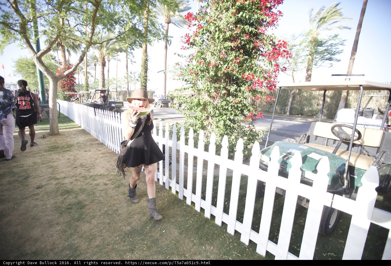 Strolling by the White Picket Fence