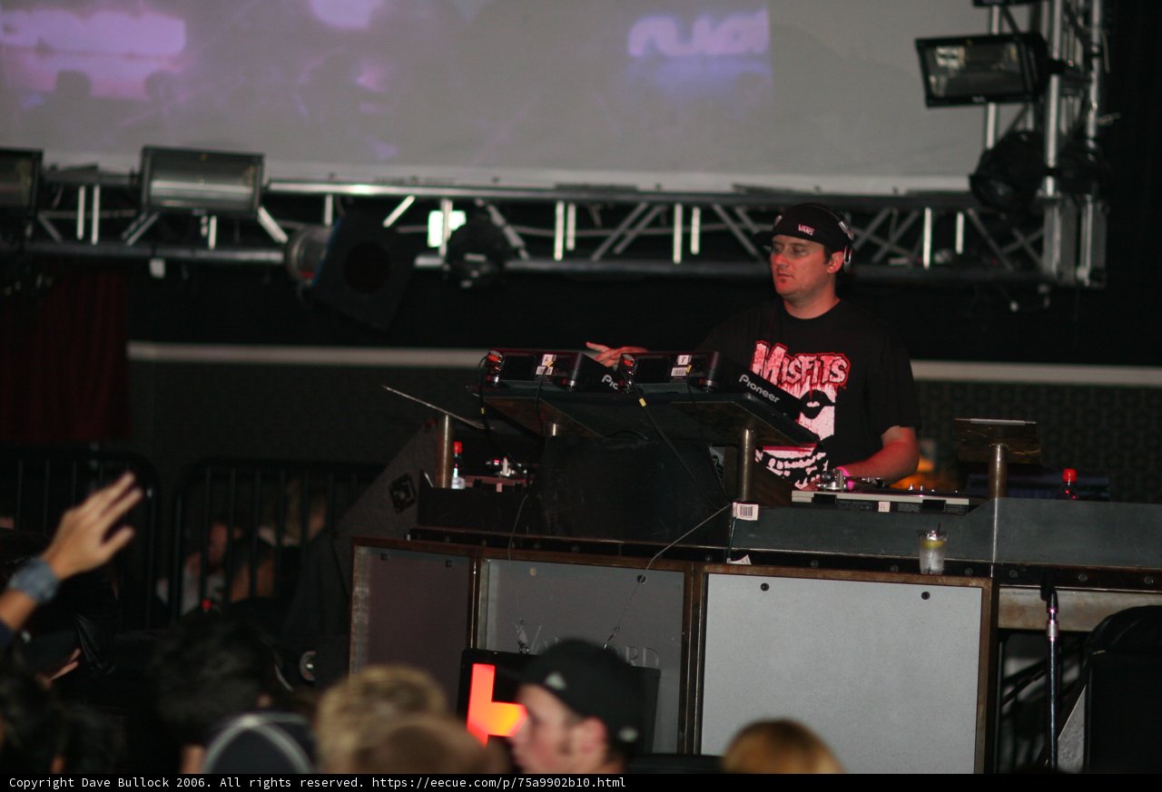 Black Shirted Man in the Concert Crowd