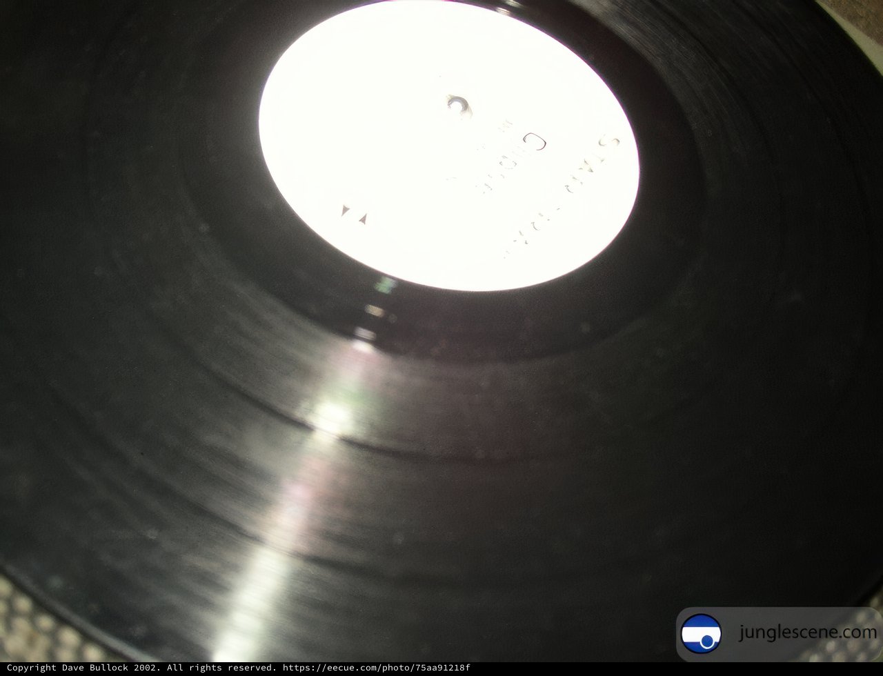 Retro Record Revival