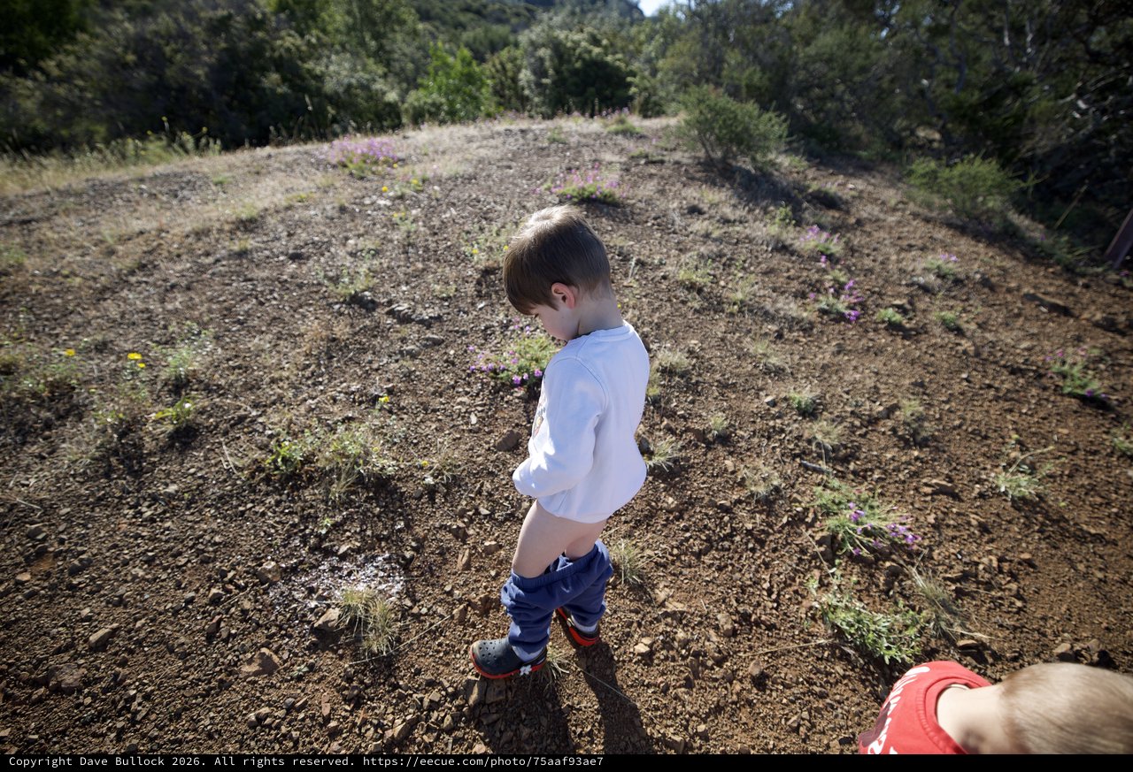Young Explorer Pauses on Rocky Trail at Mt. Diablo