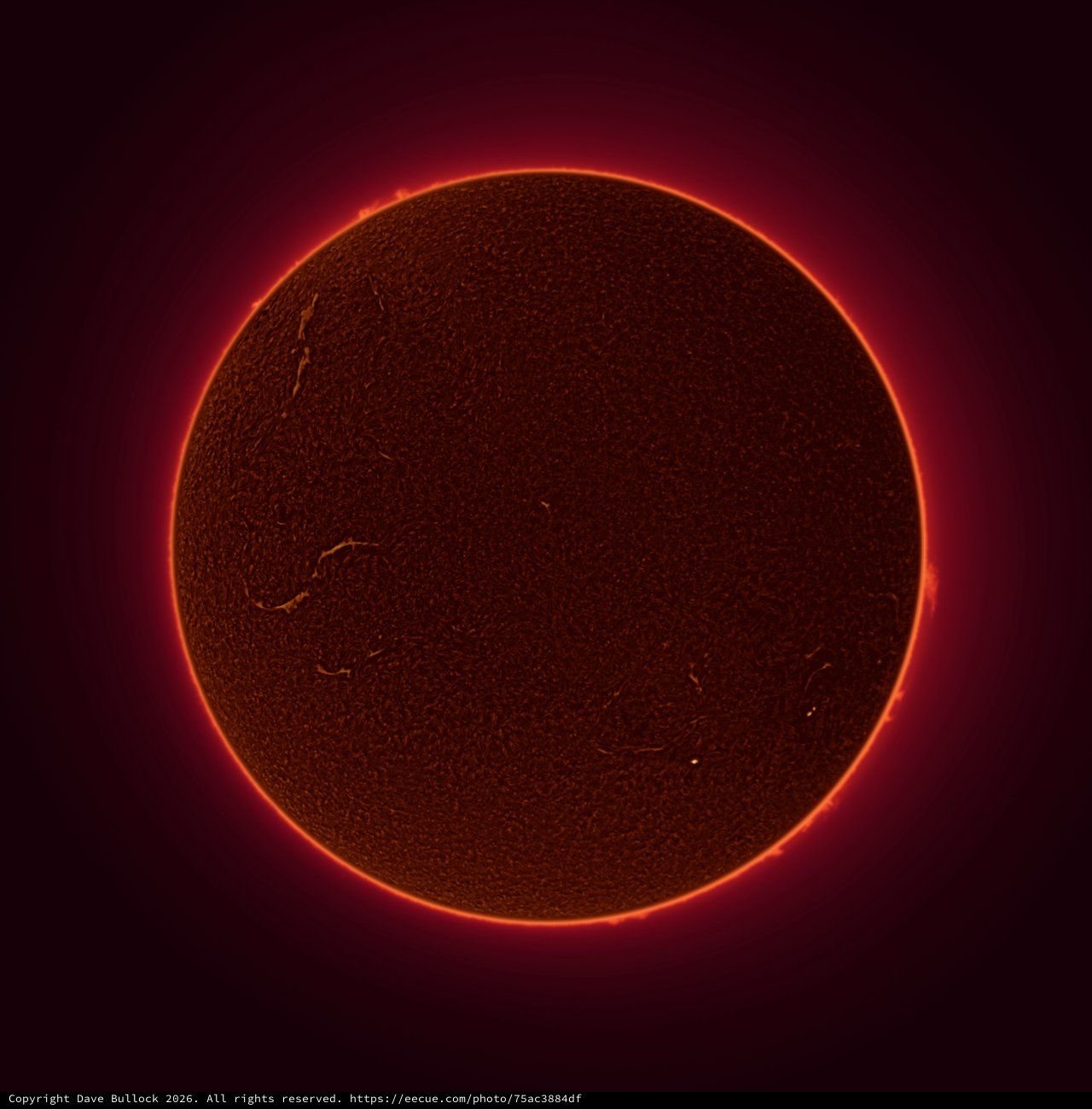 Solar Chromosphere in Hydrogen-Alpha Light