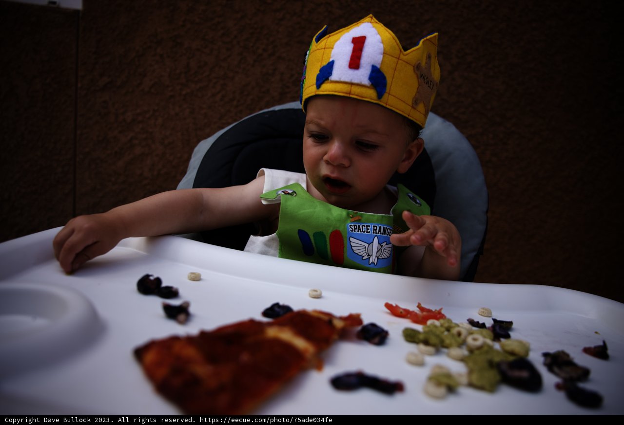 Wesley's Royal First Birthday Celebration