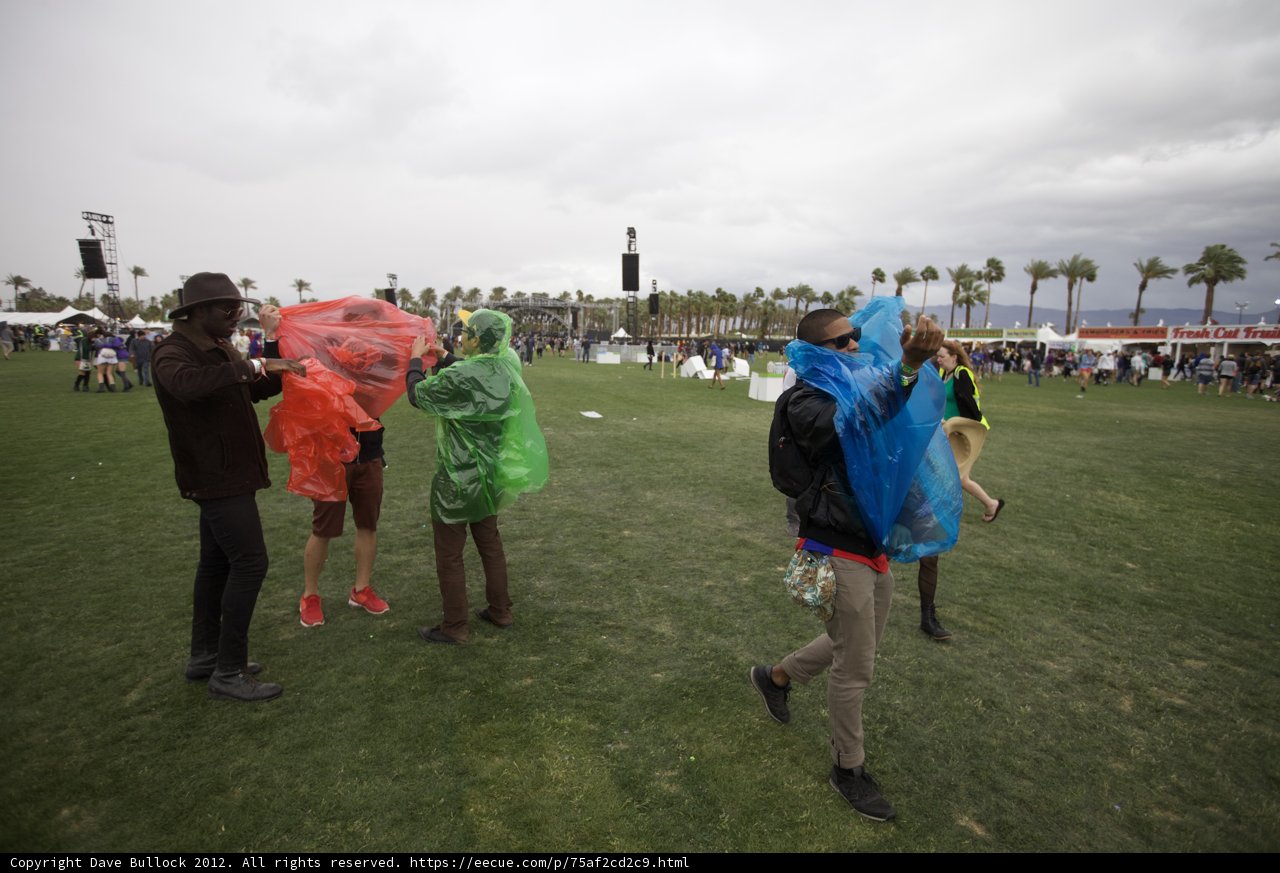 Rainy Day Revelers