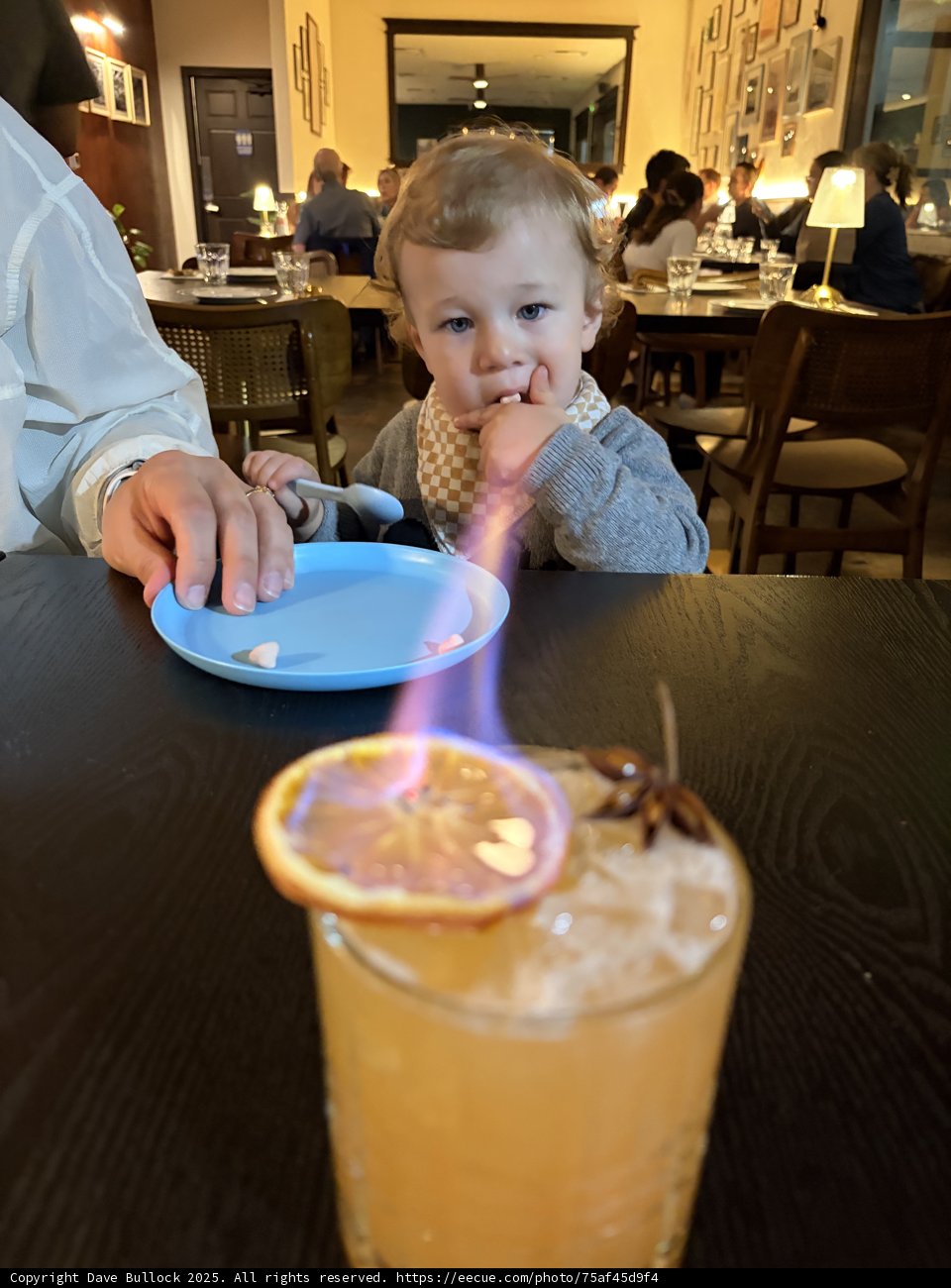 A Curious Evening at the Cafe
