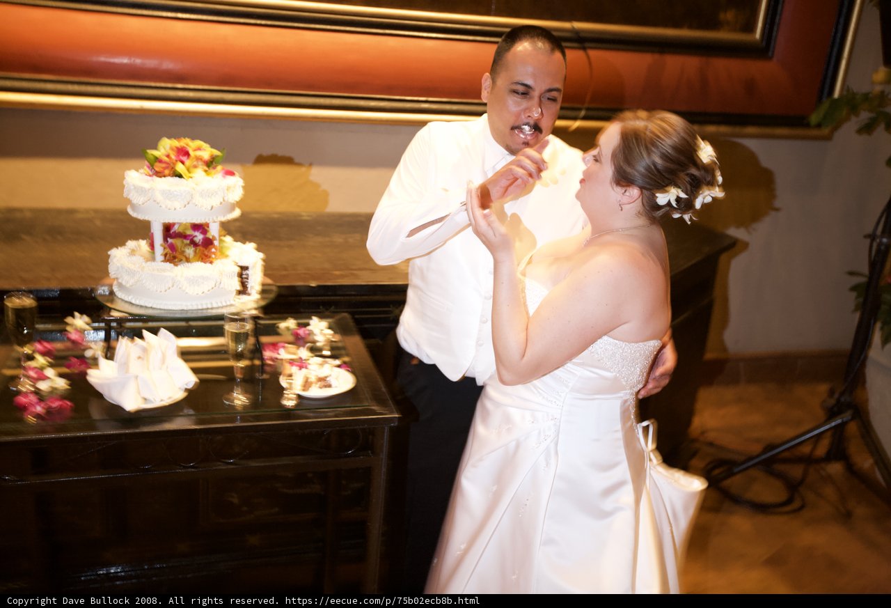 The Bride and Groom with the Wedding Cake