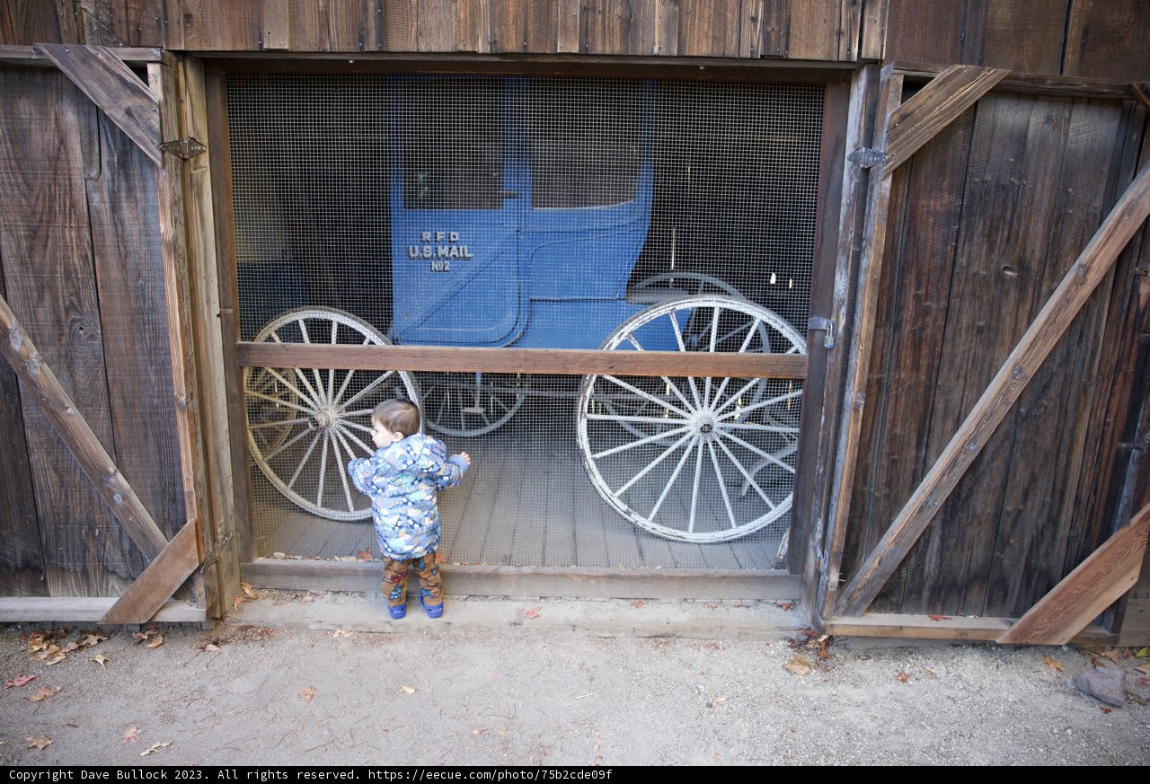 Innocence and Antiquity in Downtown Sonoma