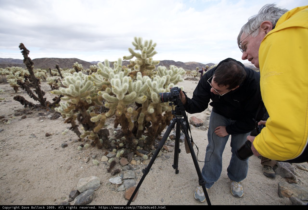 Capturing the Beauty of the Desert