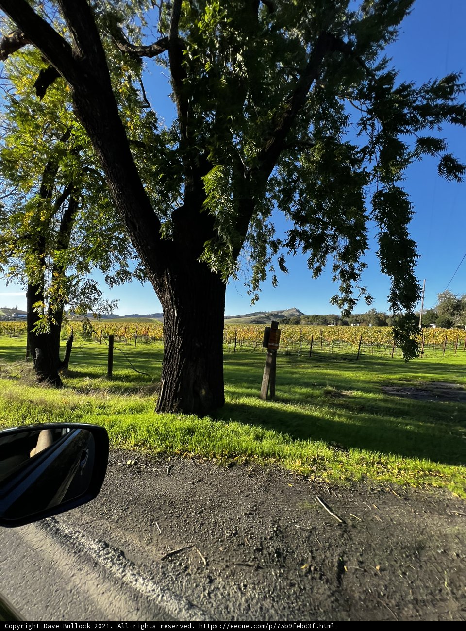 Rolling Through Napa's Natural Charm