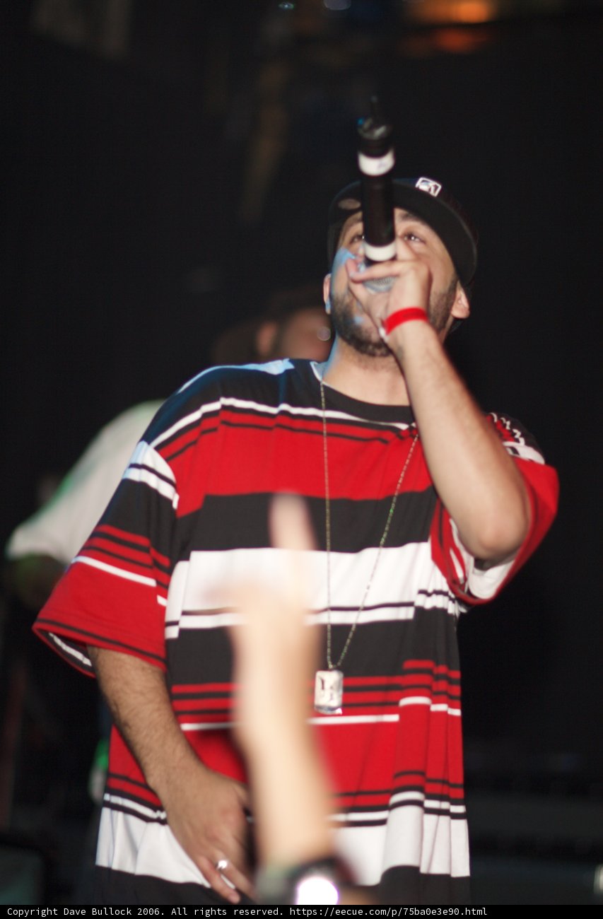 The Entertainer in Stripes