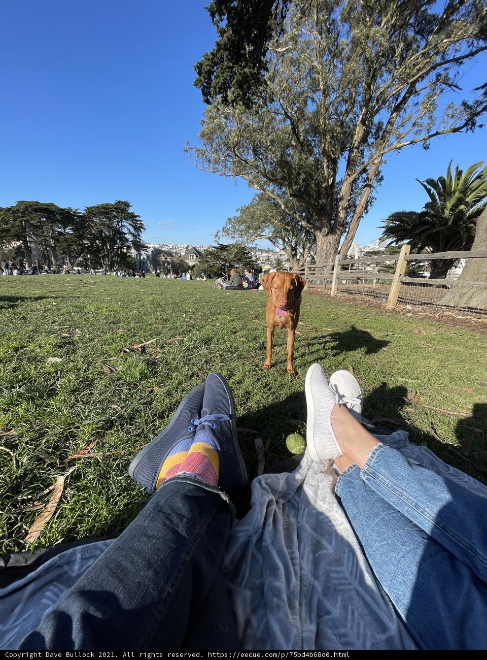 Relaxing in Alamo Square