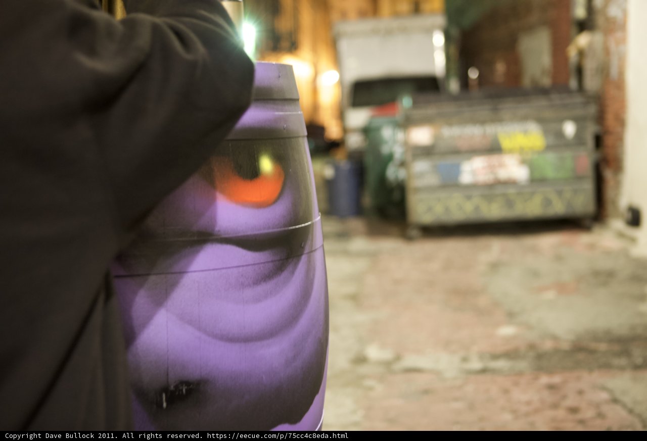 The Eye-catching Purple Bag