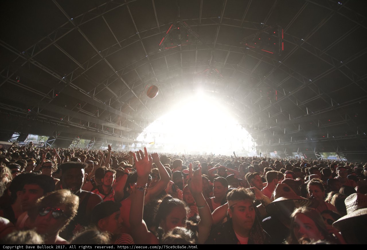 Coachella Crowd Vibes