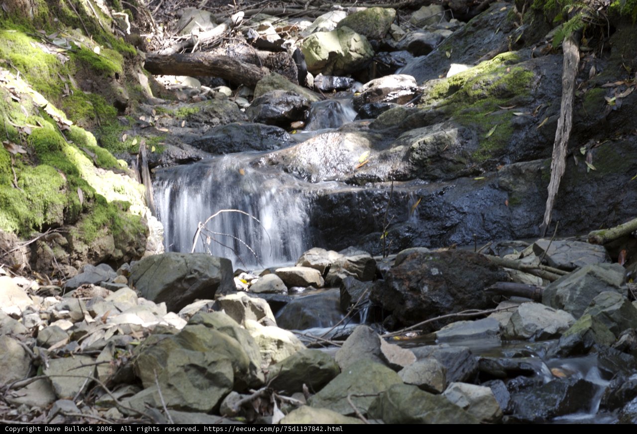 Serenity Falls