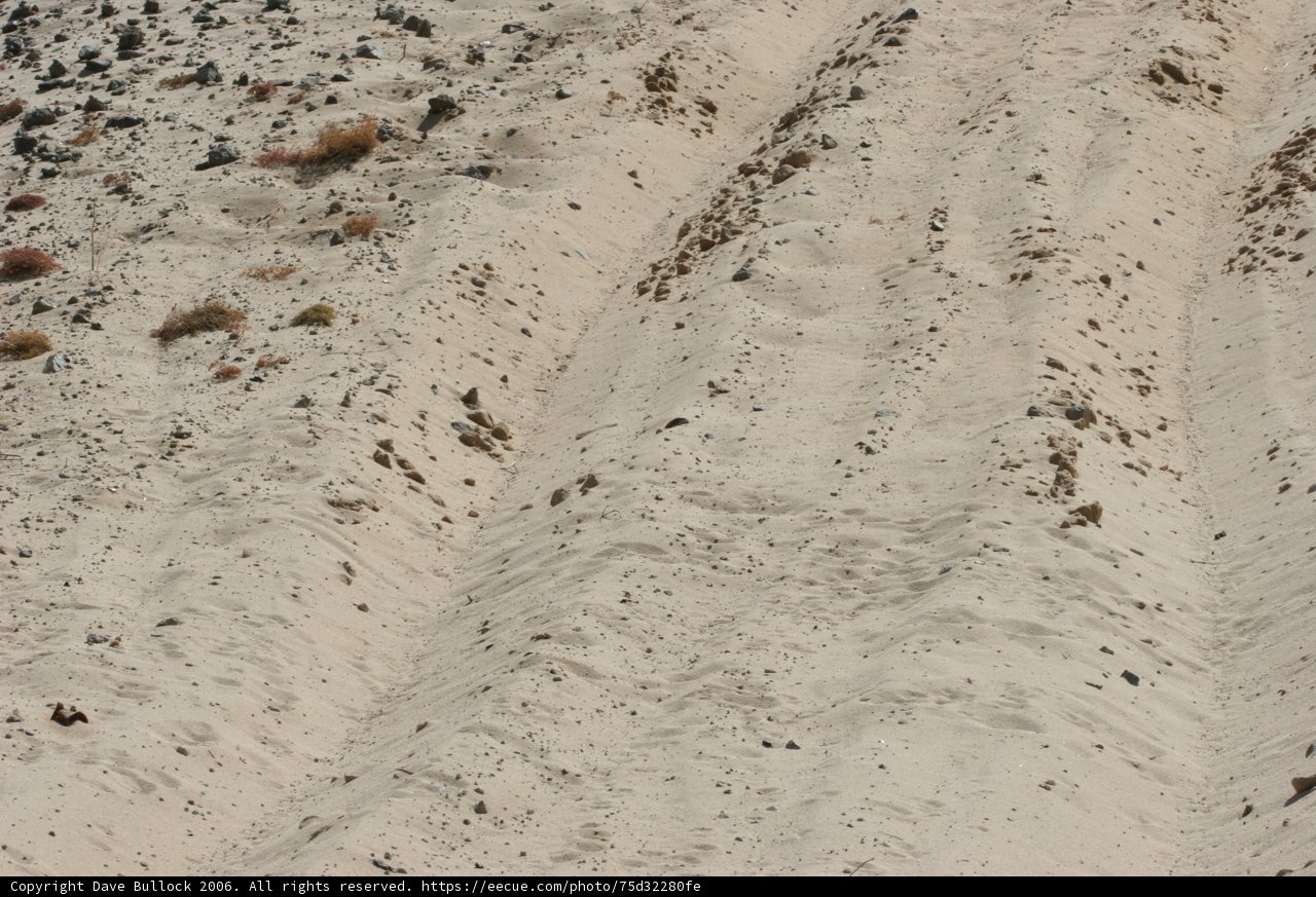 A Walk in the Desert