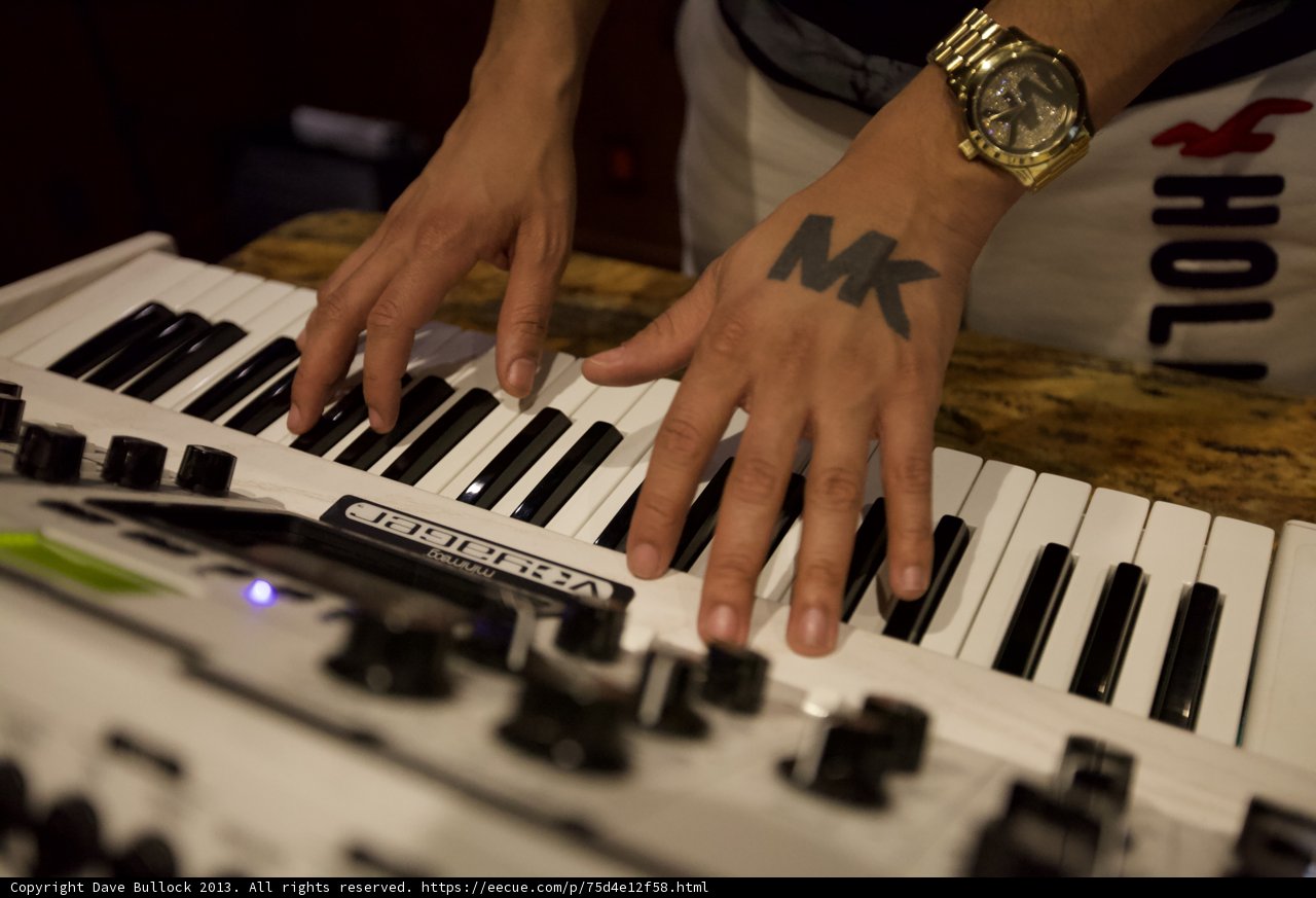Tattooed Keyboard Player