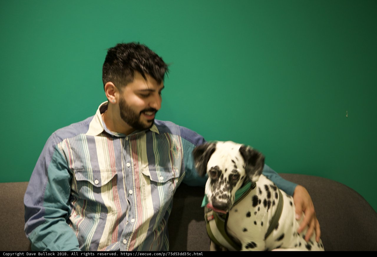Man and His Dalmatian Pal