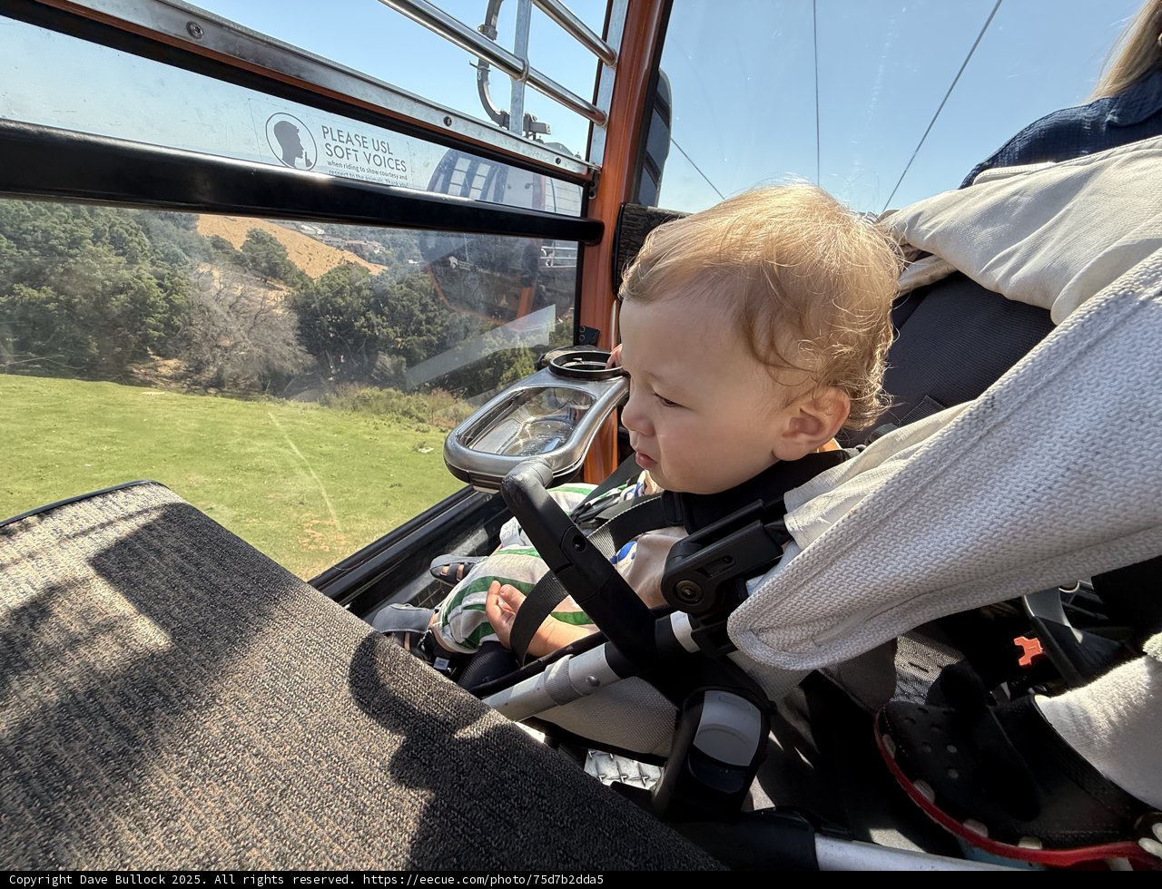 Ride Above the Wild