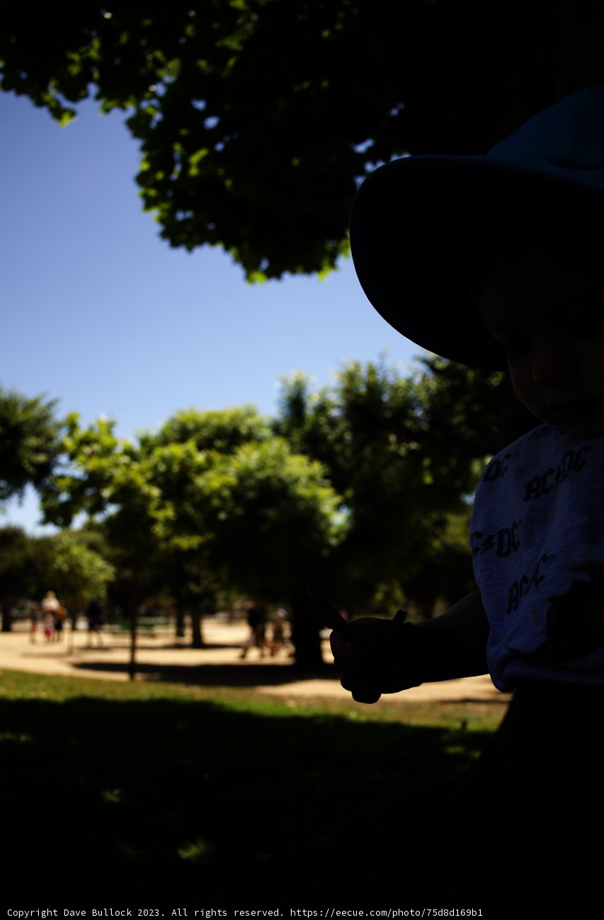Summer Radiance: A Day under the California Sun, 2023