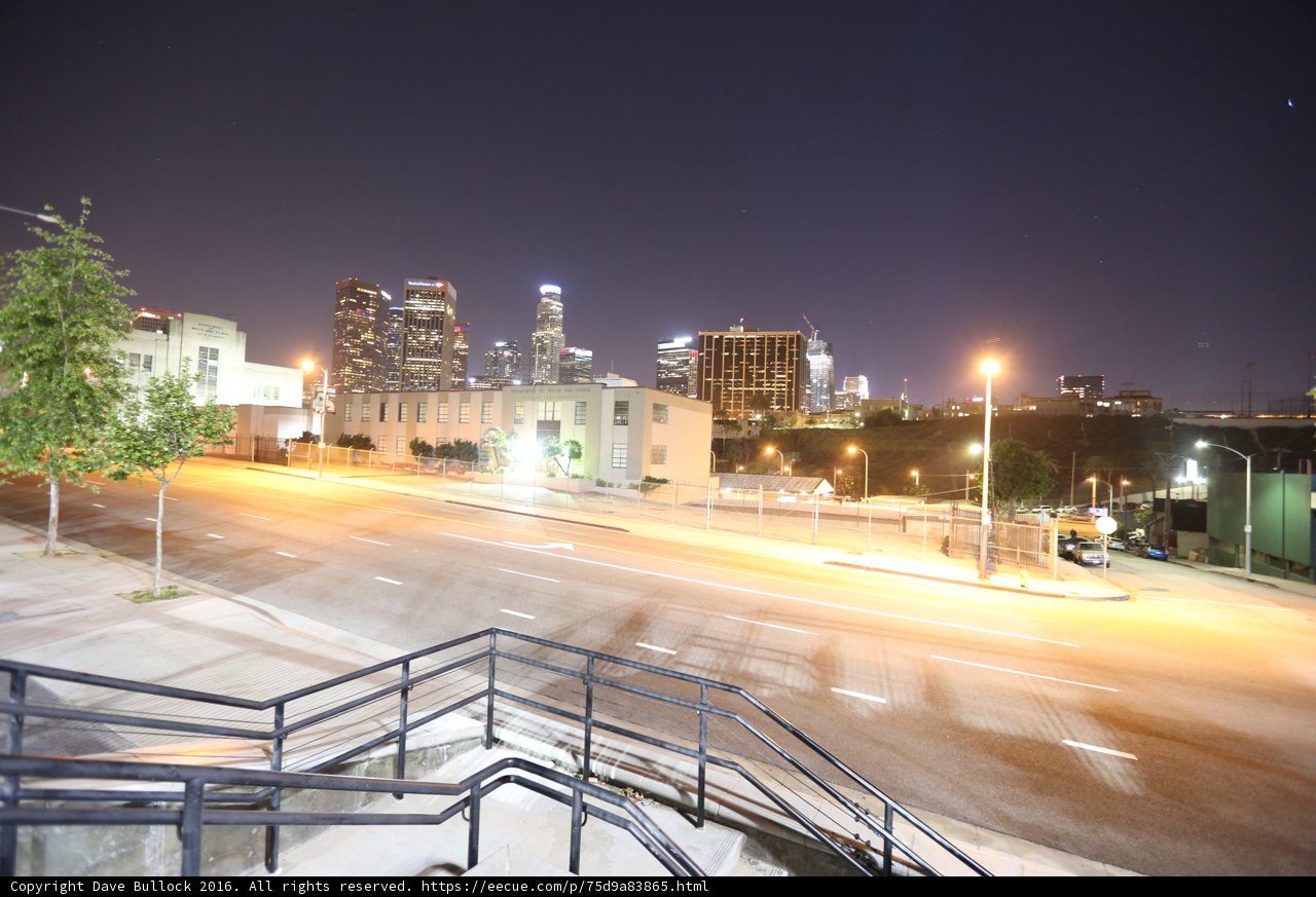 Bright Nights in the Urban Jungle