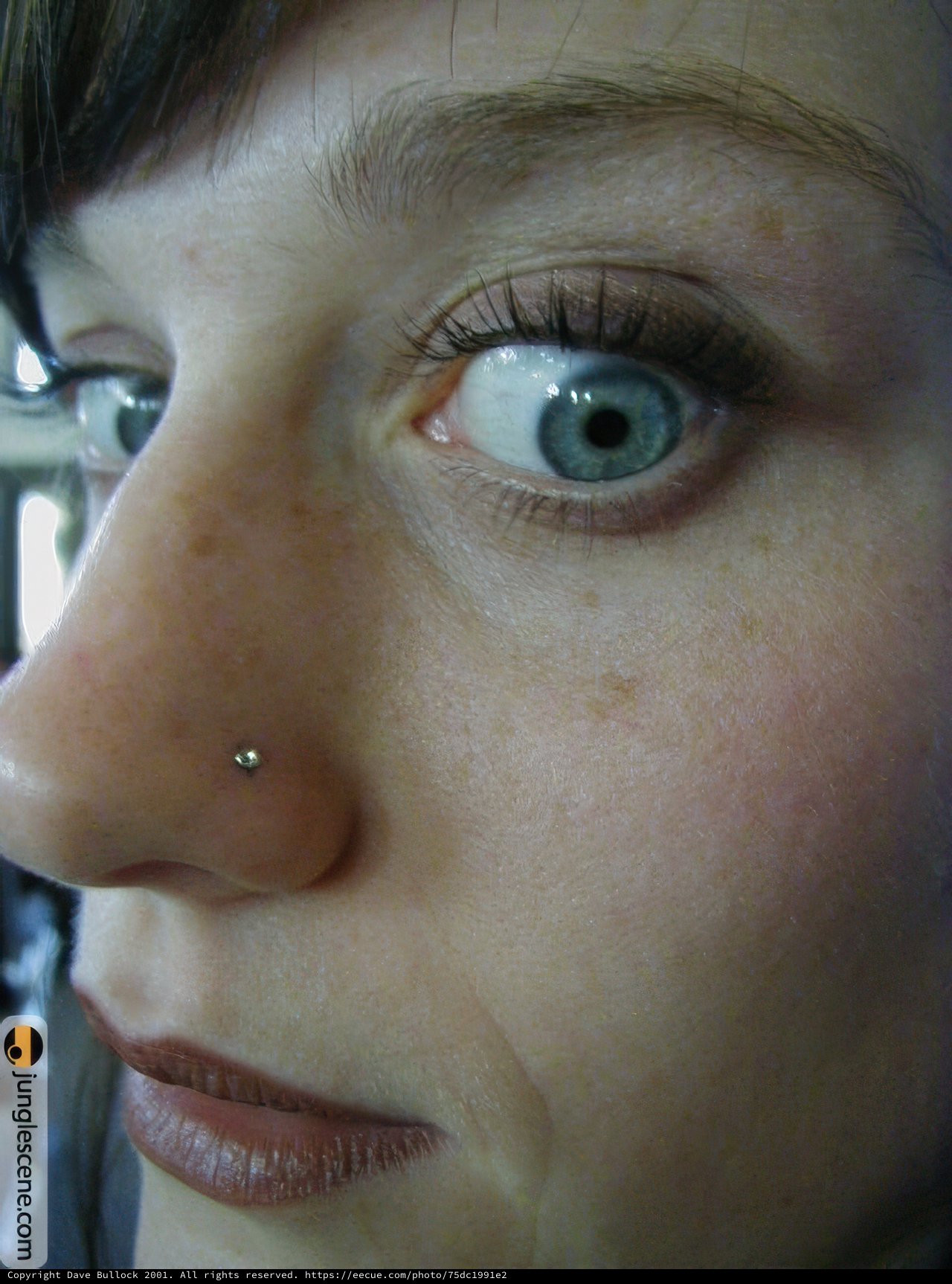 Nose Piercing Close Up