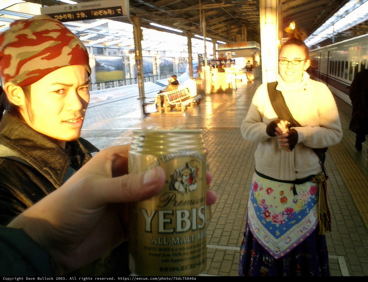 Waiting for the Bullet Train