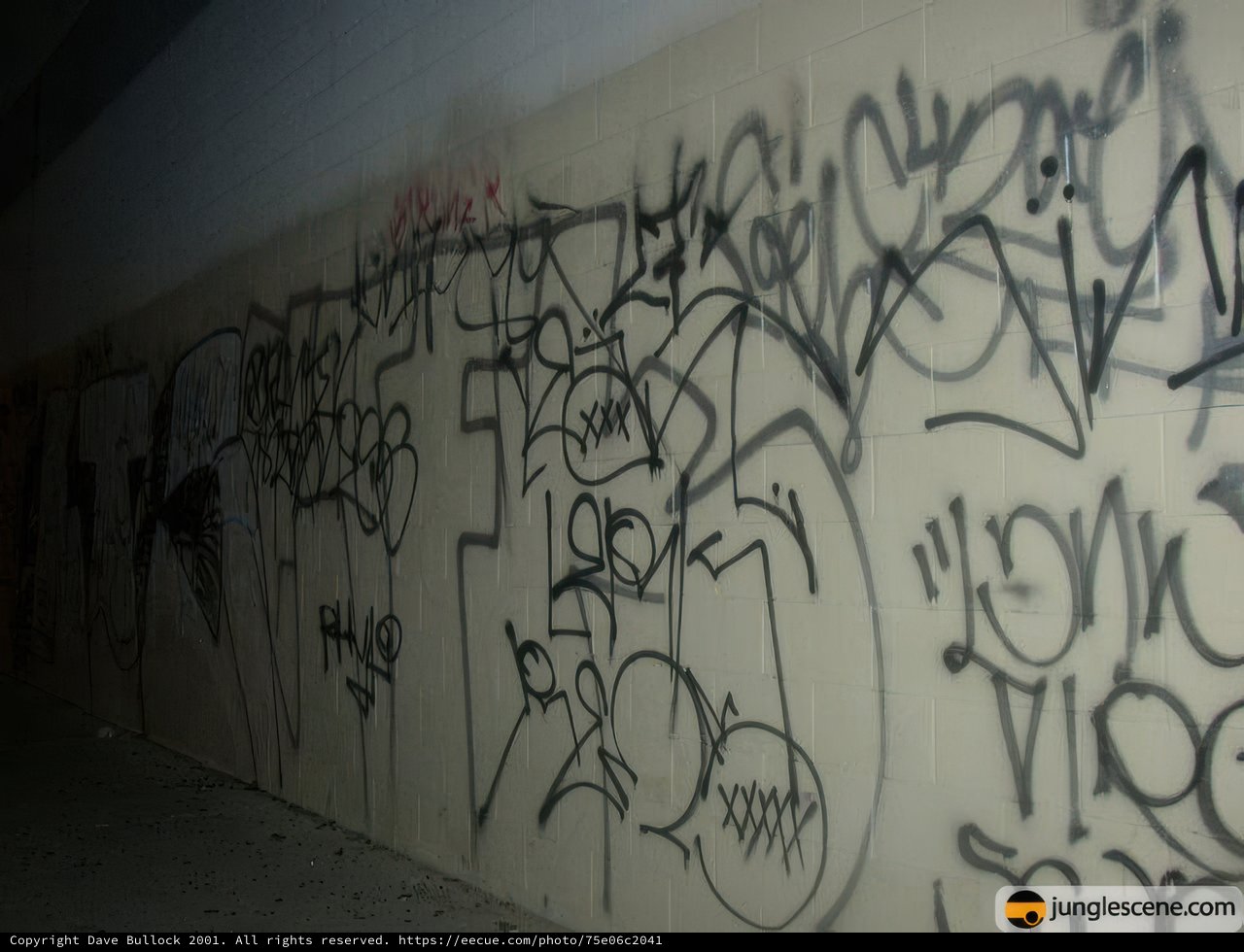 Abandoned Walls Speak