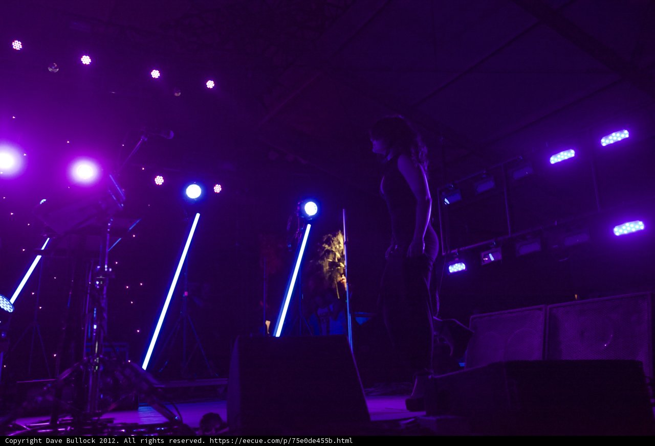 Electric Performance Under Vibrant Purple Lights