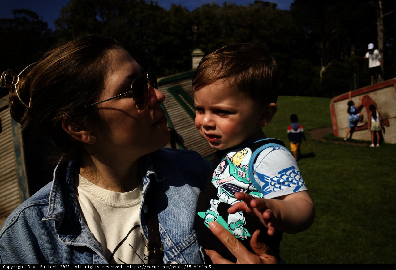 Cherished Moments: A Summer Day in the Park