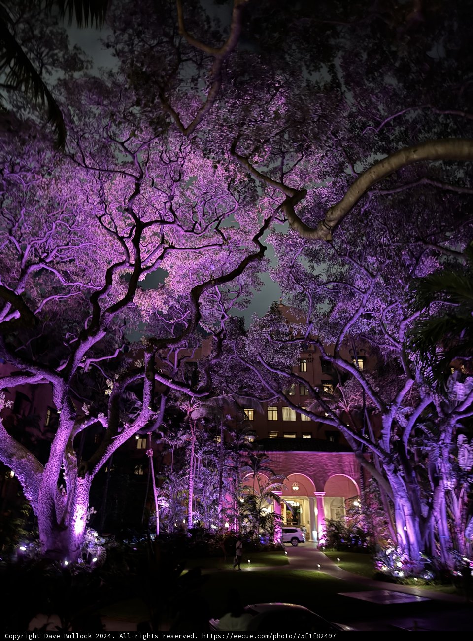 Enchanted Twilight at The Royal Hawaiian