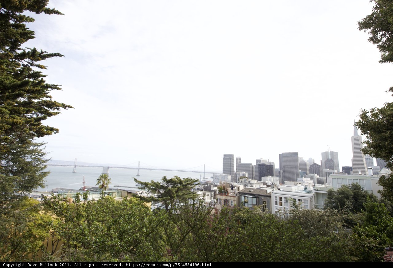Scenic Cityscape from Hillside