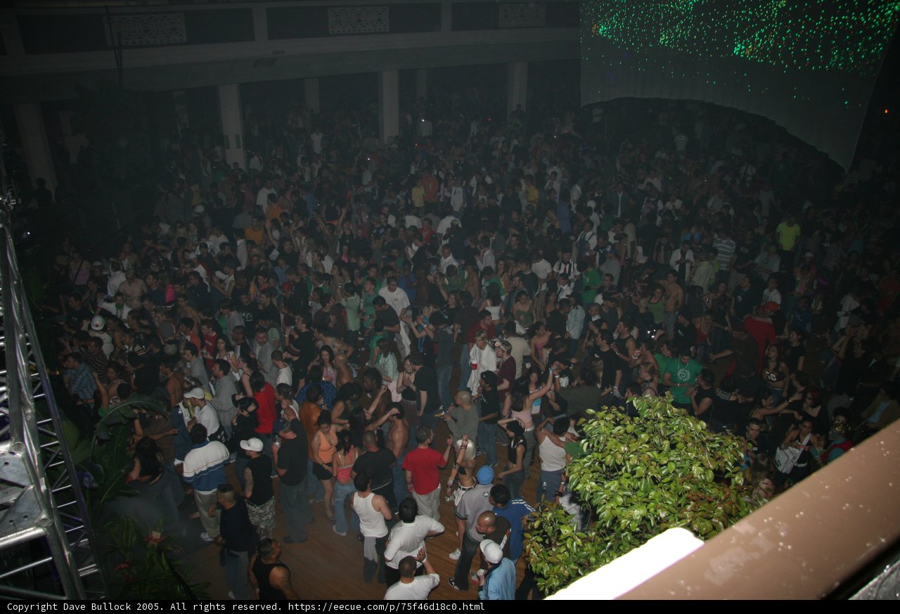 Nightlife Frenzy
