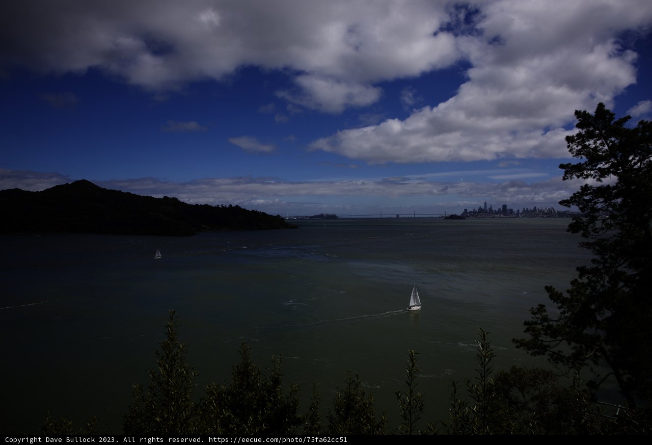 Sailing in Tiburon