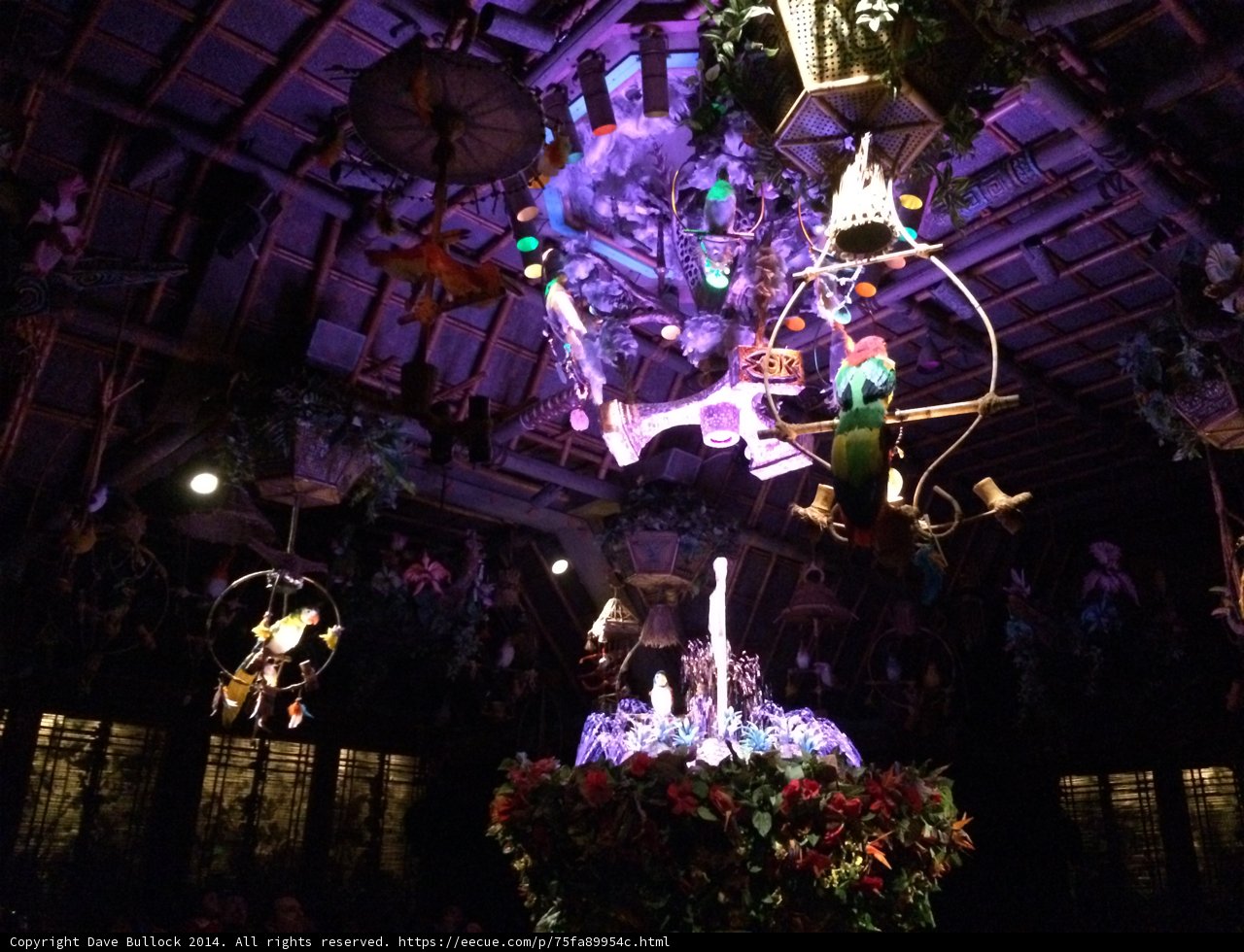 Acrobatic Birds and a Spectacular Chandelier on the Jungle Cruise