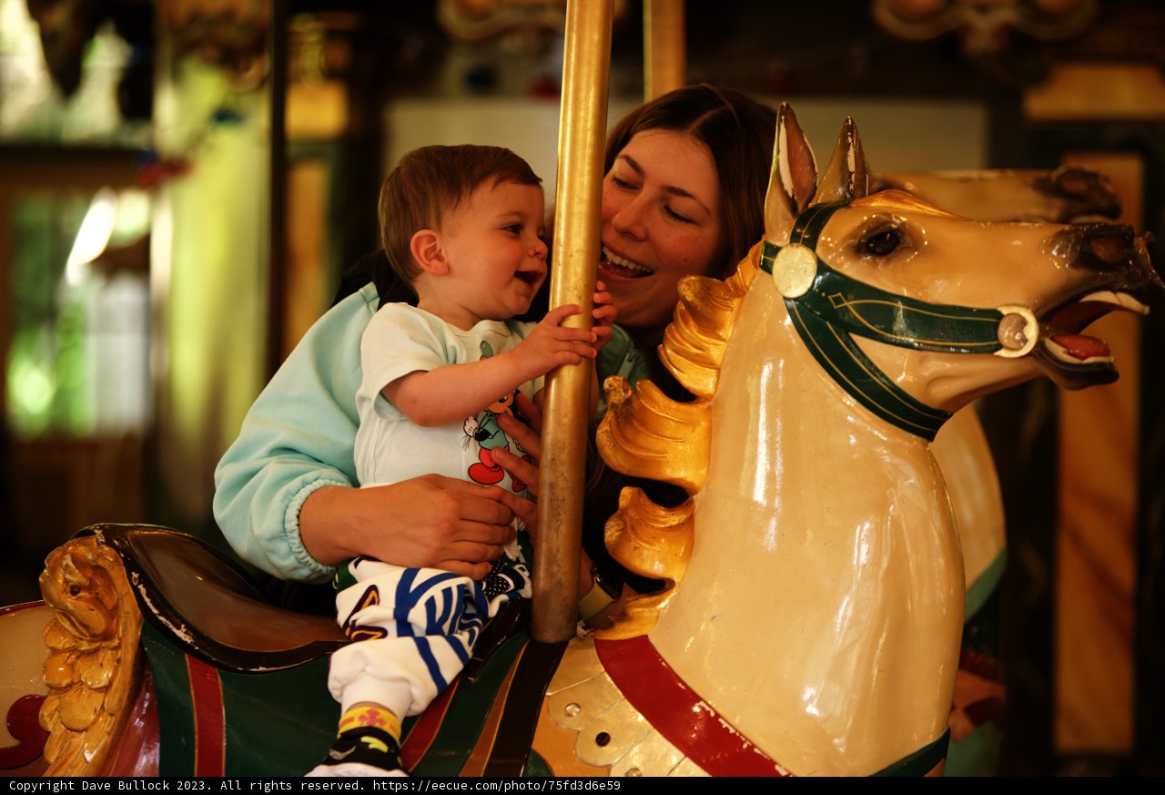 Carousel Joy at SF Zoo